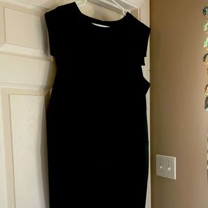 J.Crew Resume Dress
